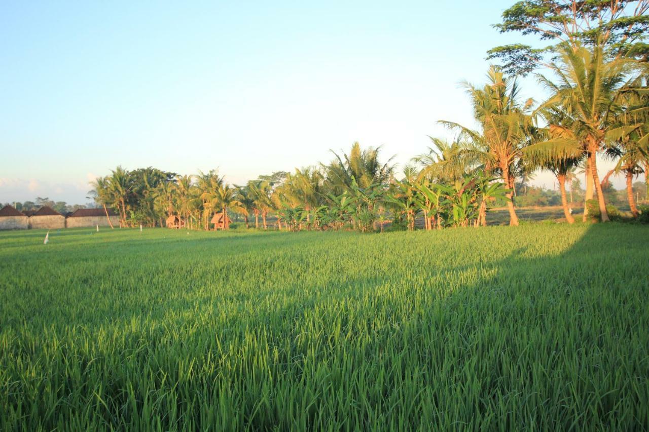 Ayuna Family Ubud Ngoại thất bức ảnh