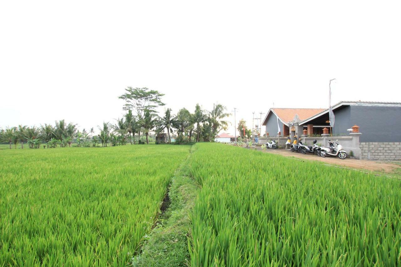 Ayuna Family Ubud Ngoại thất bức ảnh