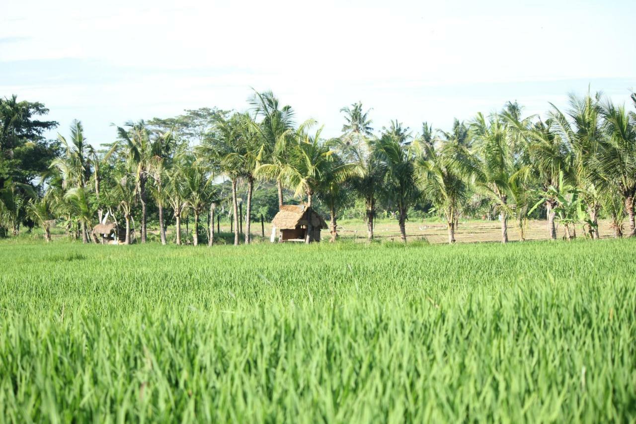 Ayuna Family Ubud Ngoại thất bức ảnh