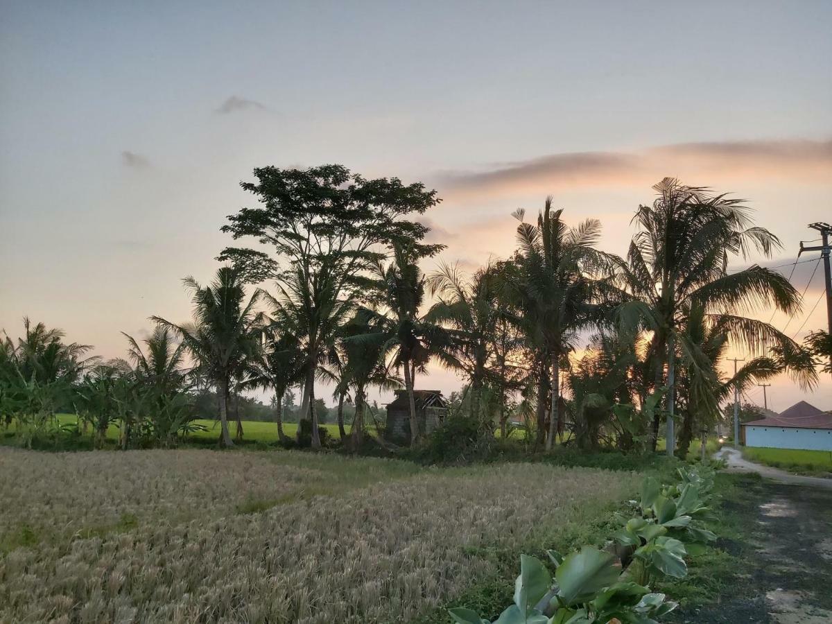 Ayuna Family Ubud Ngoại thất bức ảnh