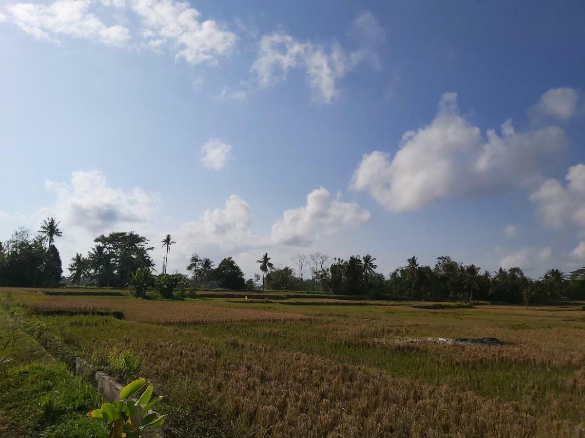 Ayuna Family Ubud Ngoại thất bức ảnh