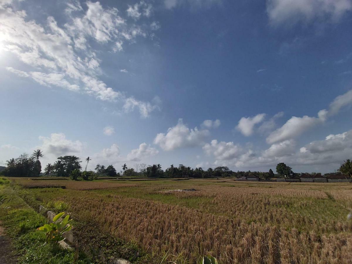 Ayuna Family Ubud Ngoại thất bức ảnh