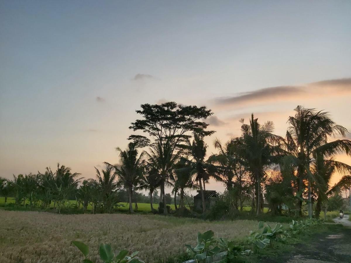 Ayuna Family Ubud Ngoại thất bức ảnh