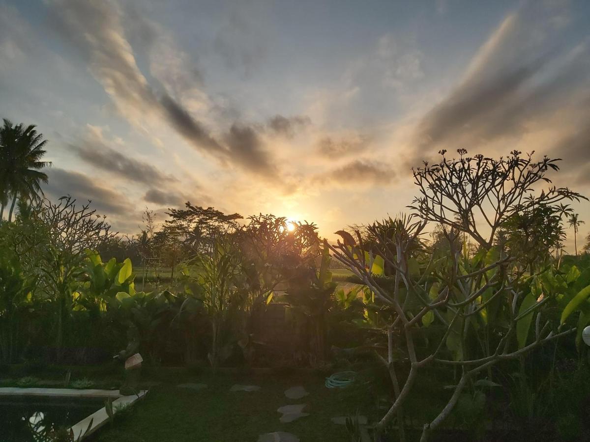 Ayuna Family Ubud Ngoại thất bức ảnh
